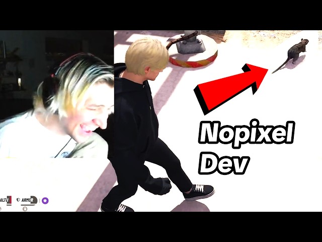 xQc gets trolled by Nopixel dev | GTA RP