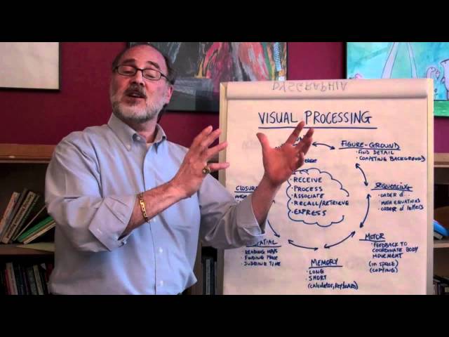 What Is Visual Processing?