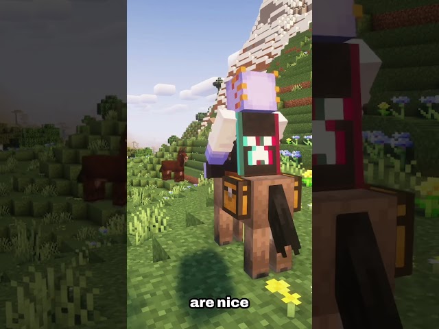 What’s The BEST Mount In Minecraft?