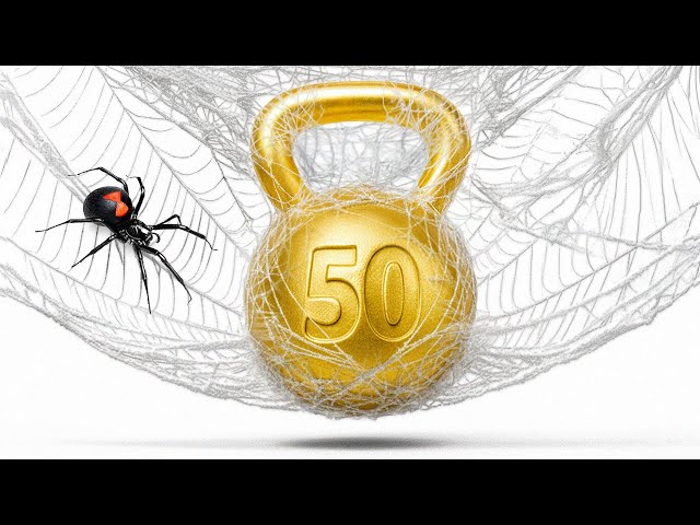 How Much Weight Can a Spider Web Hold?