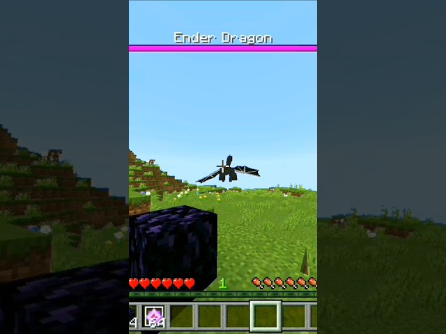 "INSANE CRAZY FACTS YOU DIDN'T KNOW!" #shorts #tips #minecraft #minecraftshorts #hack #bestplayer