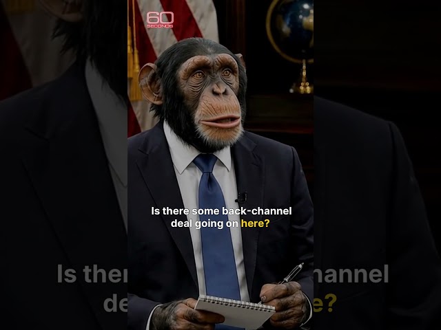 "60 SECONDS" - McConnell Mitch PT. 2