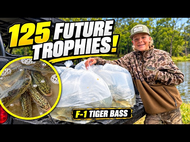 We Stocked Our Pond With Aggressive Tiger Bass!