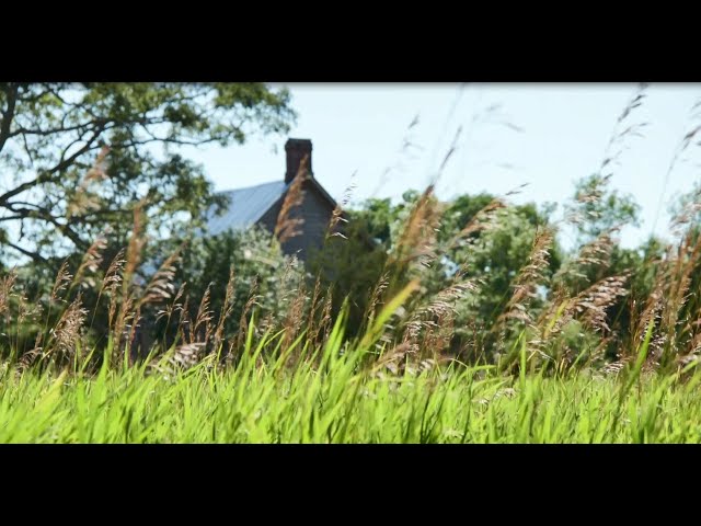 Power of Nature Episode 1: Protecting Ontario’s vital grasslands