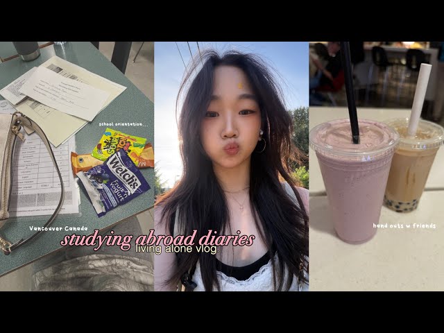 study abroad diaries 🖇️  living alone, school vlog, huge clothing haul // 유학 브이로그