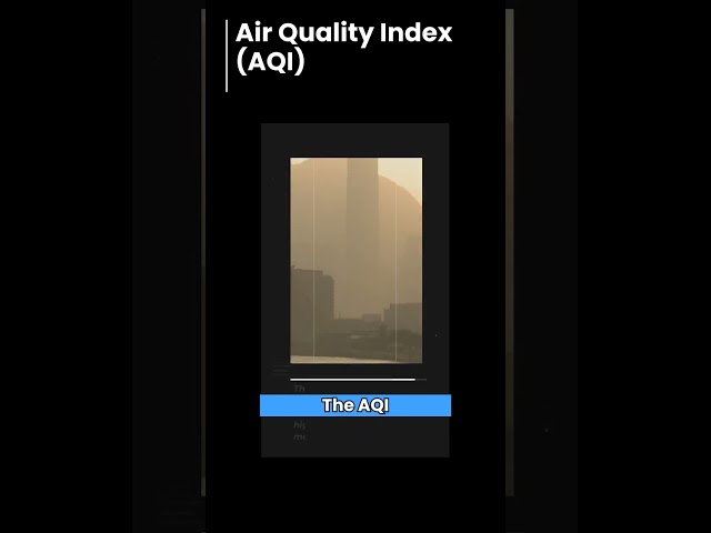 How Can We Improve The Air Quality? | #Shorts