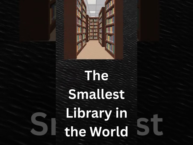 The Smallest Library in the World #library #BookLovers #TinyLibrary #Reading #Education #knowledge