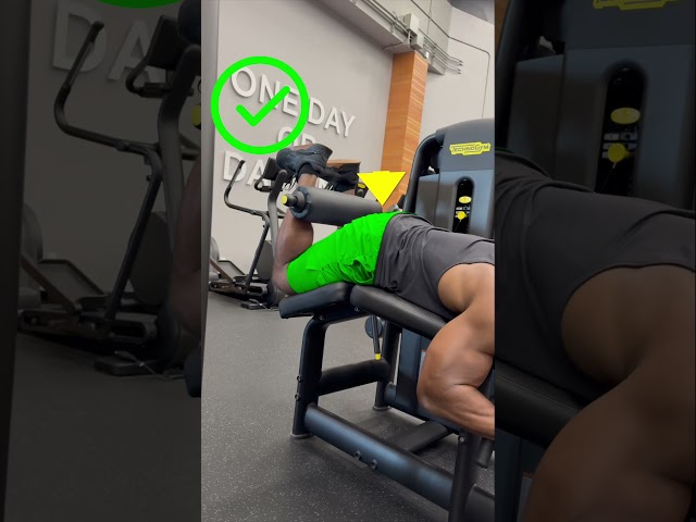 The perfect hamstring curl #hamstrings