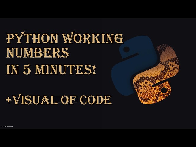 PYTHON WORKING NUMBERS