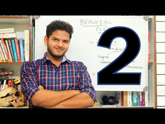 Anuj Pachhel - Brachial Plexus 2 : Cords, Branches And Their Distribution.