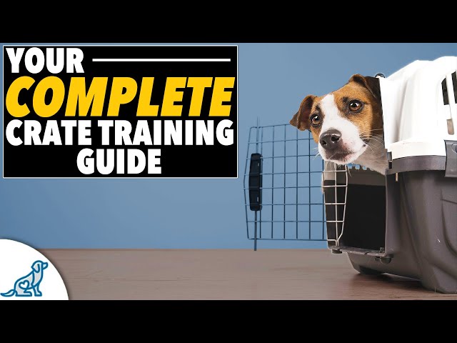 "EVERYTHING You Need To Know" Crate Training Plan