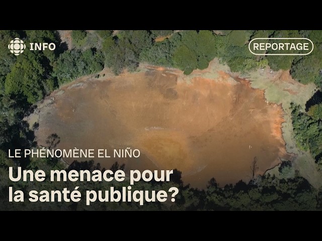 El Niño raises fears of major public health repercussions