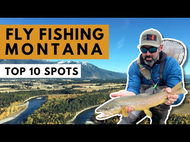 10 Best Spots For Fly Fishing in Montana (Local Fly Guide's Tips)