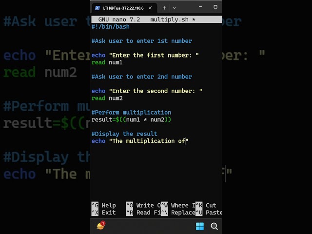 Linux Bash Script Basics Shell Scripting #linux #bash #coding
