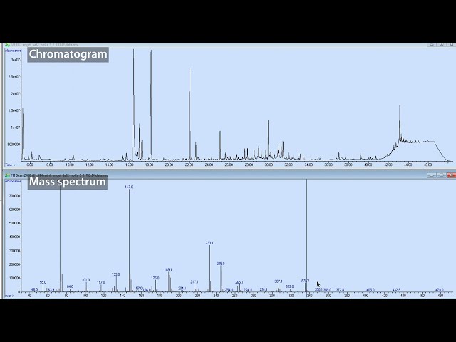 Overview of GC-MS data: Don't confuse chromatograms & mass spectra