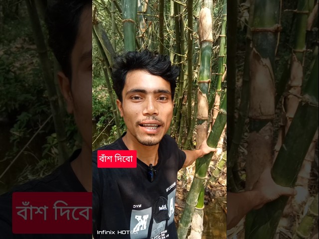 কেন রে  ভাই আমার ভিডিও তোমার সামনে গেলে জলে কেন? #short video bolgg