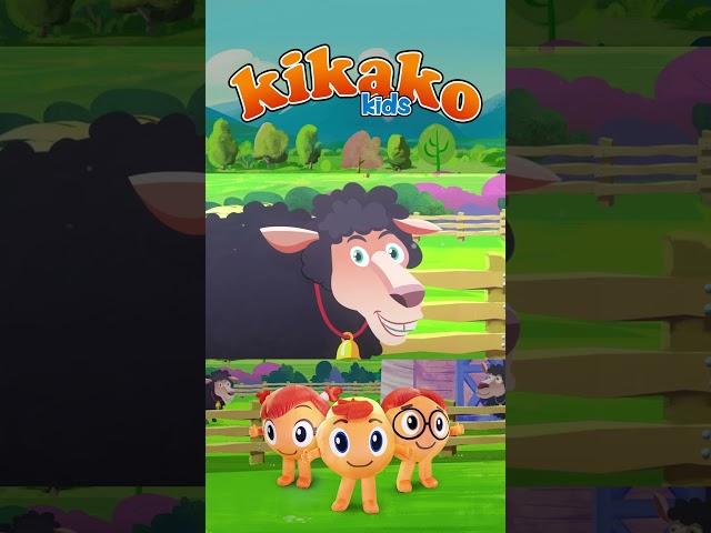 Baa Baa Black Sheep | KiKaKo Kids #kikakokids #nurseryrhymes