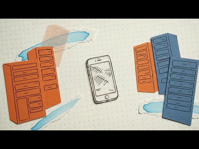 The Universal Language: How REST APIs Connect the Web