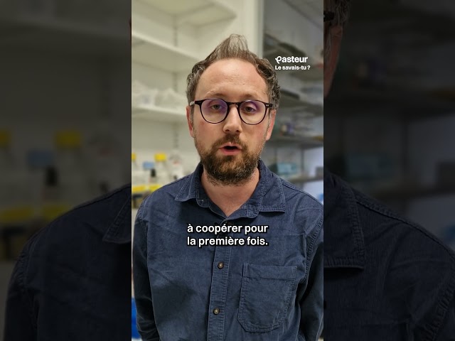 Le choanoflagellé : ton premier ancêtre