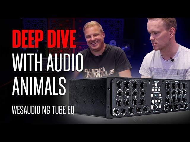 WesAudio NGTubeEQ: Discussion with @Audio Animals Studio