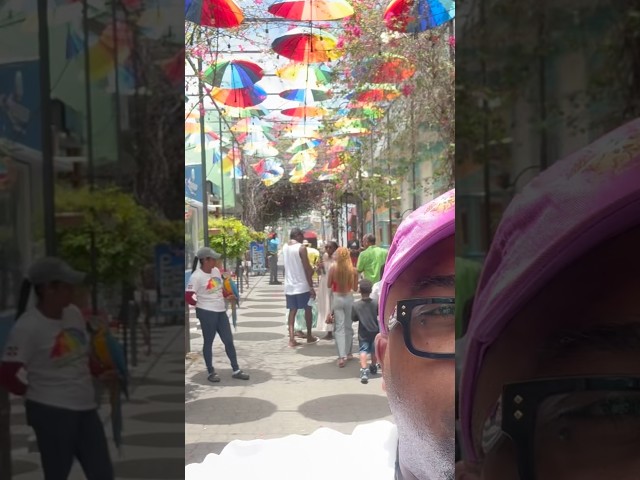 Calle De Las Sombrillas | Puerto Plata | Dominican Republic 🇩🇴