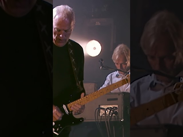 David Gilmour   A Great Day For Freedom  - Live in Gdańsk