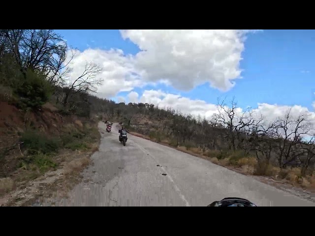 Dadias Forest Greece RIDE (video clip) -1000 Miles Alexandroupoli - HOG Athens