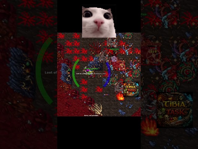 So close!!! #tibia #tibiabr #tibiaclips #tibiapl #tibiagame