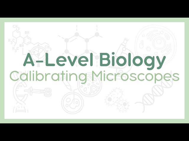 CALIBRATING MICROSCOPES : Eyepiece and stage graticules | A-Level Biology (AQA, OCR, Edexcel)