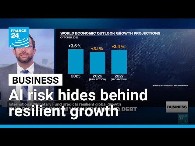 IMF global economic forecast shows 'resilience under strain' • FRANCE 24 English