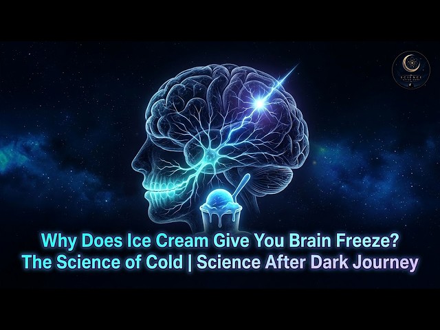 Why Does Ice Cream Give You Brain Freeze? The Science of Cold | Science After Dark Journey