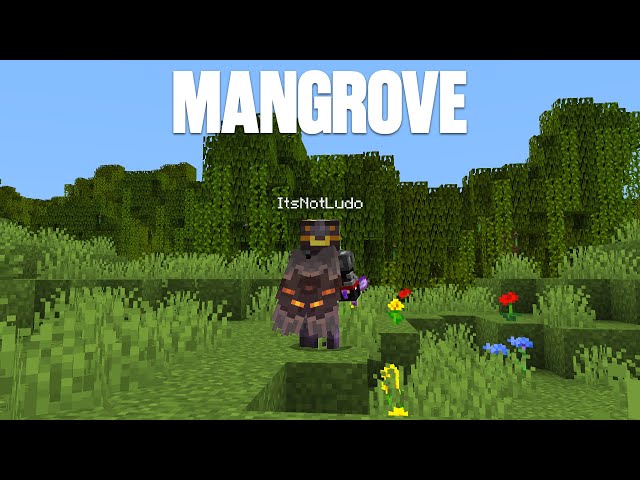 I Need Mangrove Wood