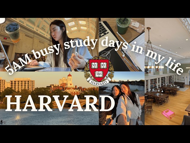 5AM HARVARD STUDY VLOG 🍁 productive days in my life, harvard double-major junior, busy classes