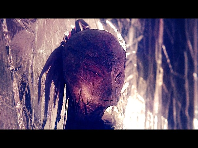 Unknown Creatures Caught on Camera That Should Not Exist