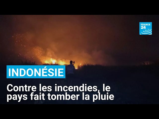 Pour combattre les incendies, l'Indonésie, tente de faire tomber la pluie • FRANCE 24