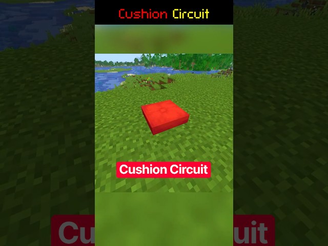 👝Cushion Redstone Circuit