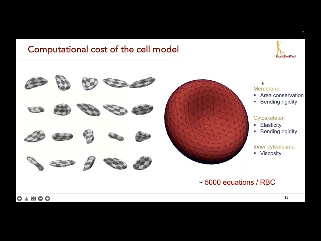 e Seminar #24 Simulating human cellular blood flow at extreme detail A drop of blood at exascale