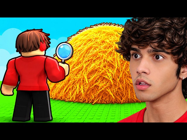 ROBLOX SEARCH FOR THE NEEDLE..