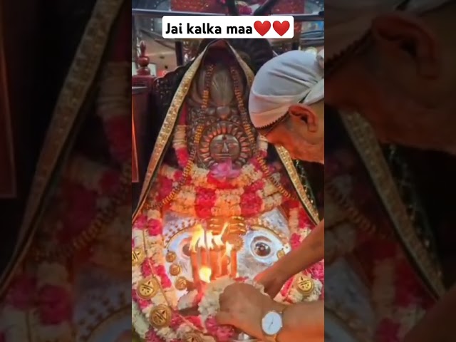 🙏🙏🙏#jaikalkajimandir #kalkamaa