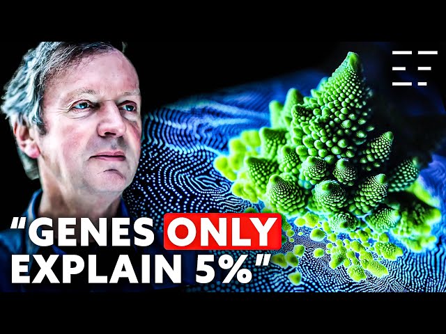 Nature's Hidden Intelligence: Morphic Fields | Rupert Sheldrake PhD