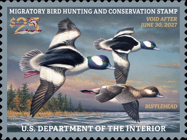 Day 1 of 2026 Federal Duck Stamp Contest