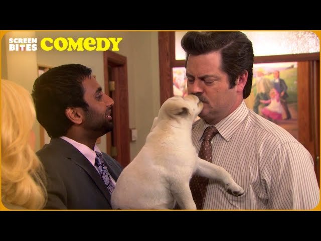 Parks and Rec: Iconic Moments That Live Rent-Free In Our Heads | Screen Bites Comedy