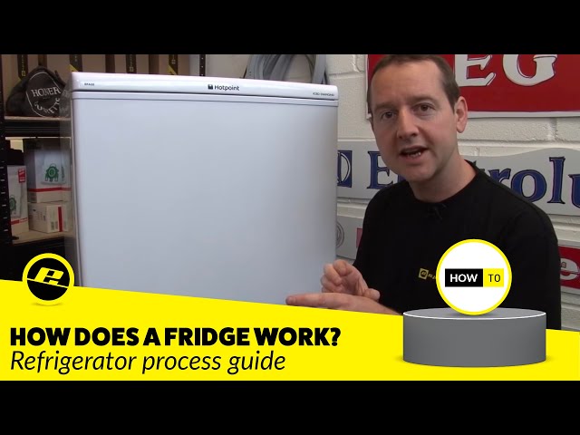 How Does a Fridge Work?  (How is a Fridge Cooled & MORE!!)