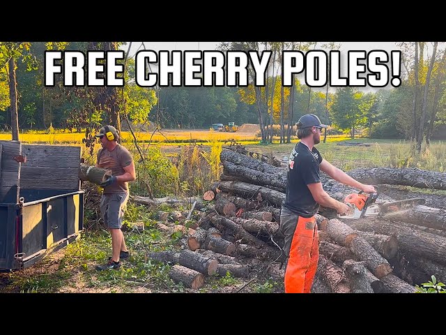 YOU CAN’T EVEN BUY CHERRY LOGS THIS PERFECT! 