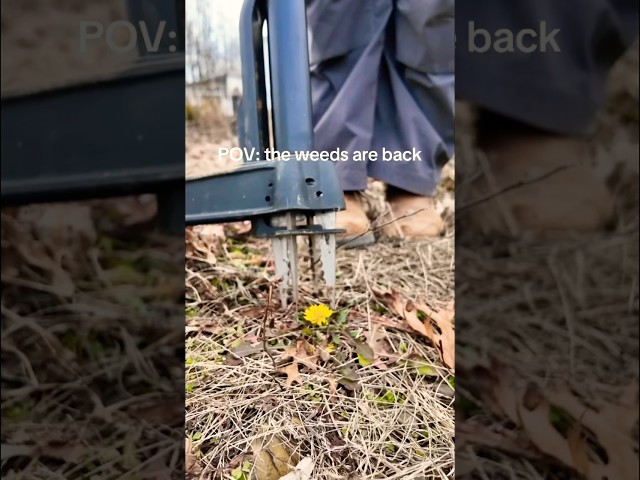 The weeds are back! Time to bring out this guy…