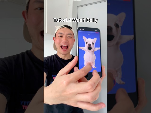 Tutorial Wash Belly 🧼🐶👉 #funny #shorts #fyp #trending #viral