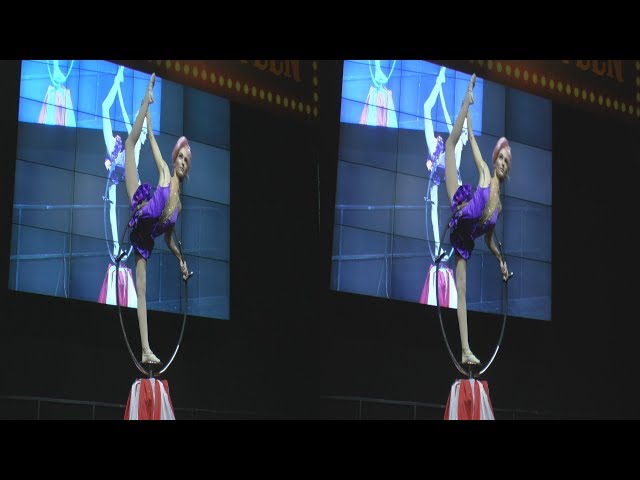 (3D) Fantacity circus - Contortionist acrobat /Starcon 2019/