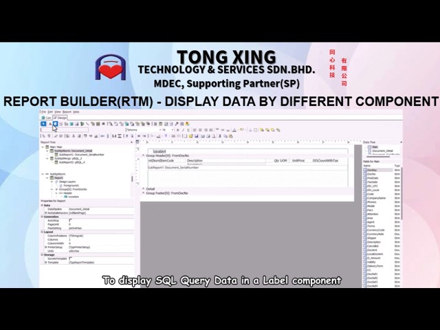 REPORT BUILDER (RTM) - DISPLAY DATA BY DIFFERENT COMPONENT