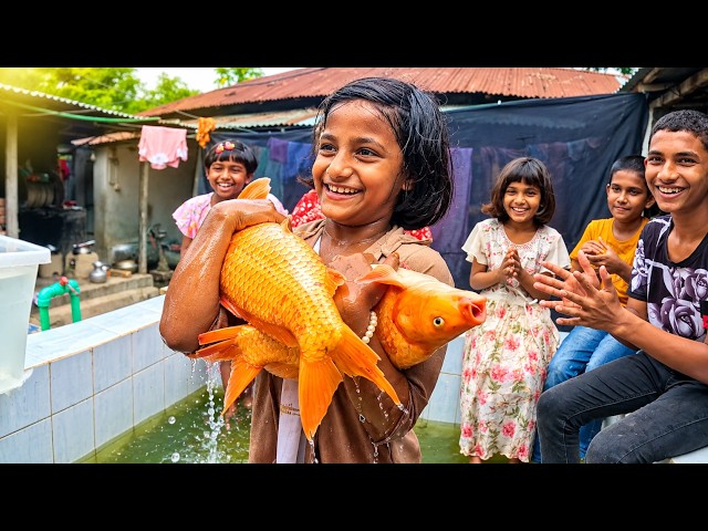 Believe This BIG FISH Catching for Aquarium Cleaning!! Must Watch Relaxing Fish Tank