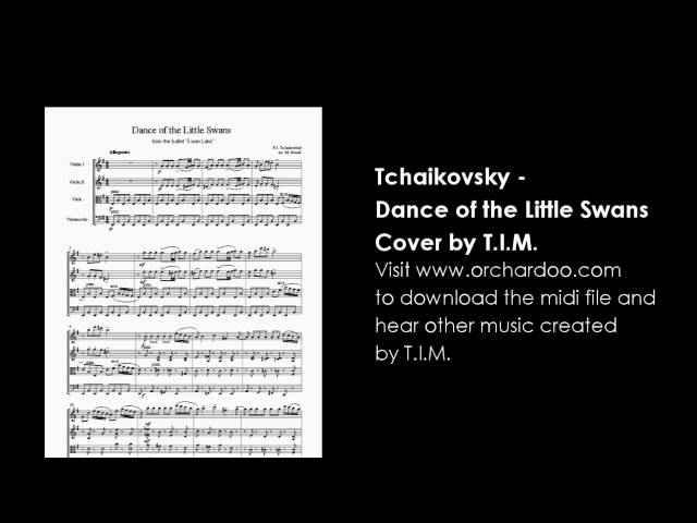 T.I.M. - Dance of the Little Swans (Tchaikovsky Cover)